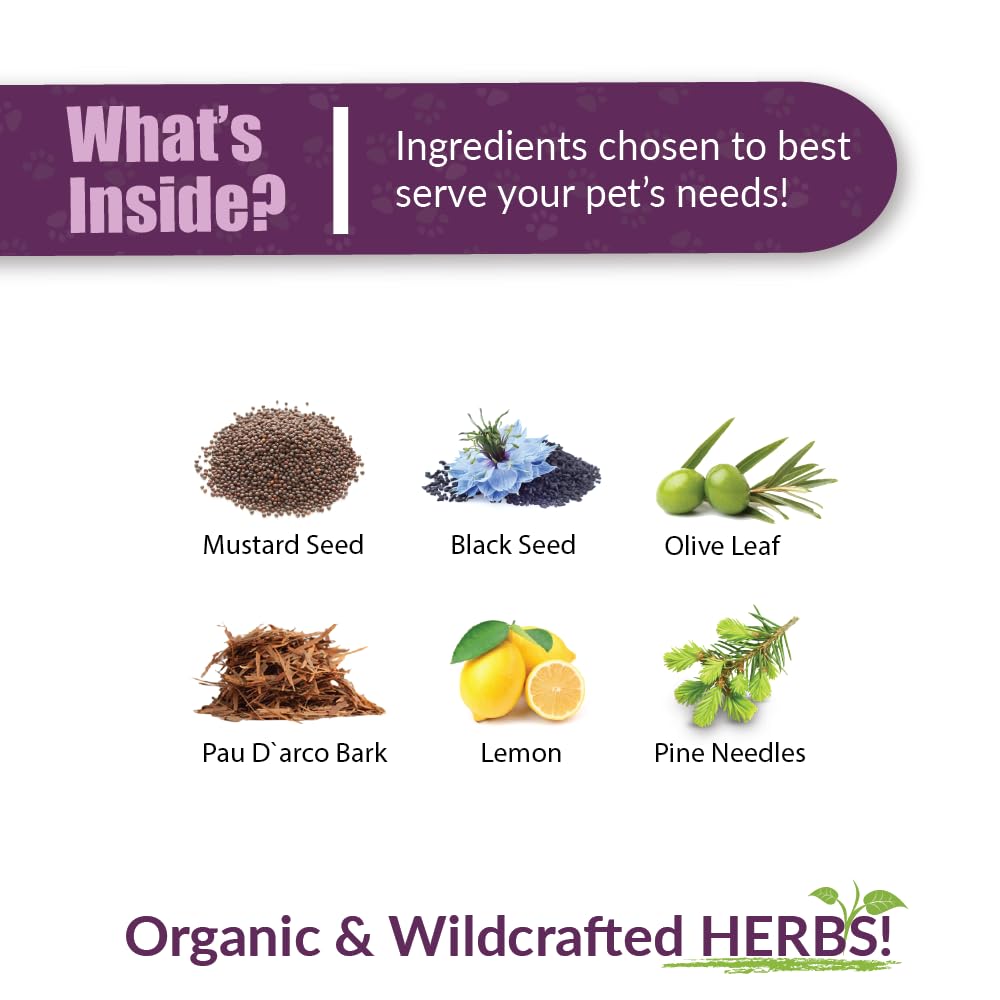 AMBER NATURALZ UTR Urinary Tract Herbal Supplement for Dogs, Cats, Birds, Guinea Pigs, and Rabbits | Pet Herbal Supplement for B